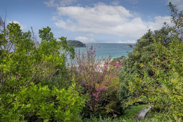 Photo of property in 76 Grange Road, Hahei, Whitianga, 3591