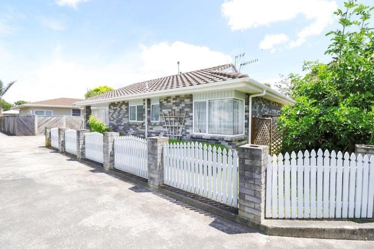 Photo of property in 26a Windsor Street, Terrace End, Palmerston North, 4410