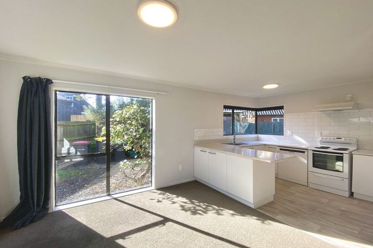 Photo of property in 5a Amstel Lane, Richmond, Christchurch, 8013