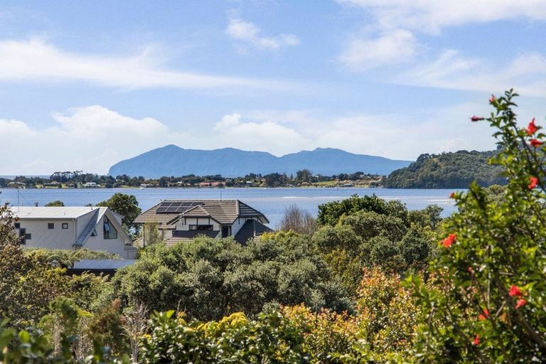 Photo of property in 226 Tanners Point Road, Tanners Point, Katikati, 3177