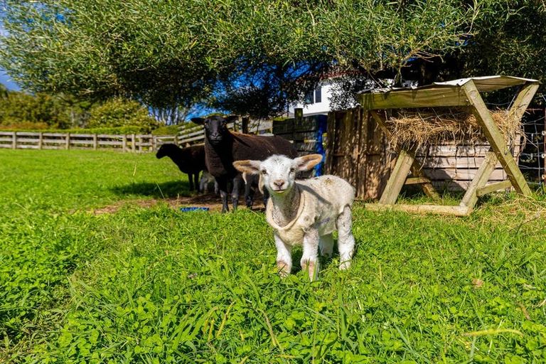 Photo of property in 23b Moorfield Road, Te Kauwhata, 3782