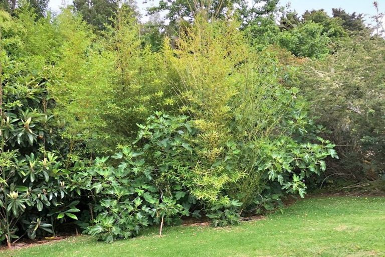 Photo of property in 20 Batten Street, Wellsford, 0900