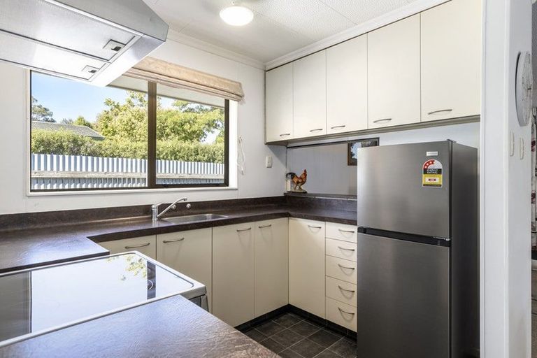 Photo of property in 209a Weld Street, Witherlea, Blenheim, 7201