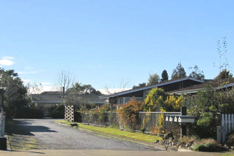 Photo of property in 715 York Street, Mahora, Hastings, 4120