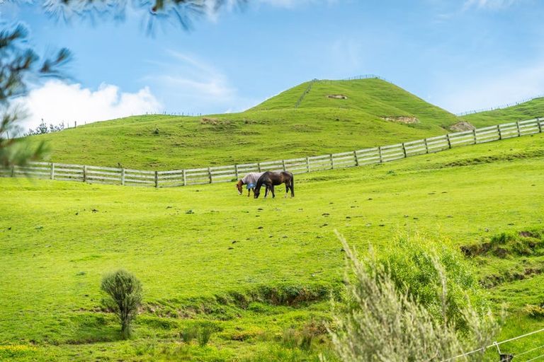 Photo of property in 97a Coroglen Rise, Pukerua Bay, 5026