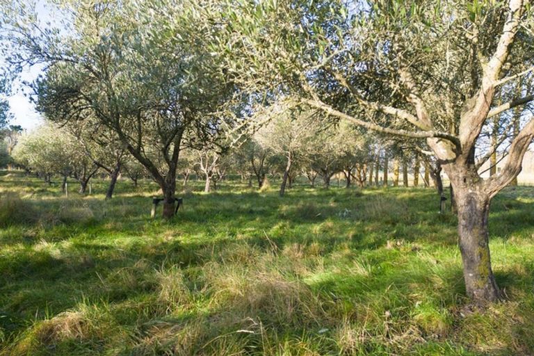 Photo of property in 75 Priors Road, Fernside, Rangiora, 7471