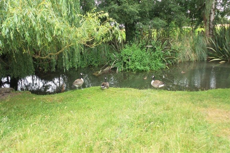 Photo of property in 24 Evans Street, Temuka, 7920