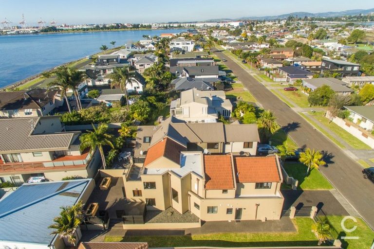 Photo of property in 53 Kulim Avenue, Otumoetai, Tauranga, 3110