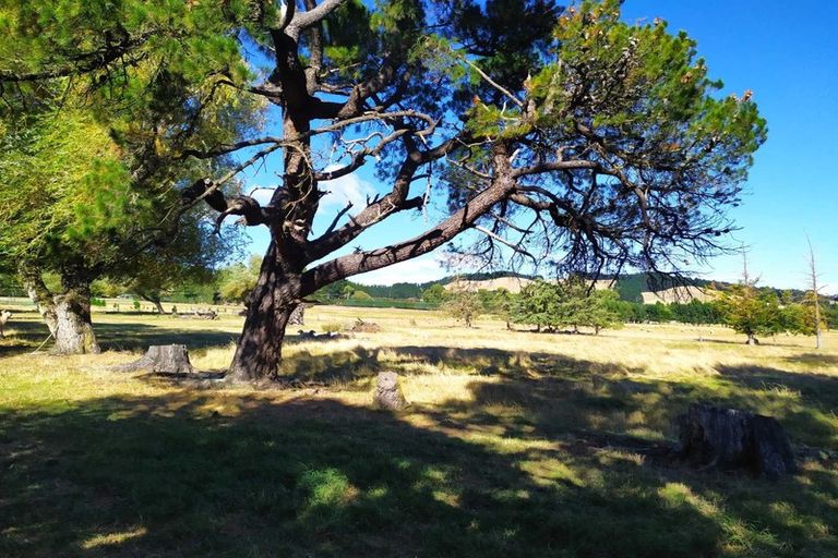 Photo of property in 16 Seymour Street, Hawarden, 7385