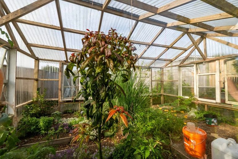 Photo of property in 126 Miranda Street, Stratford, 4332