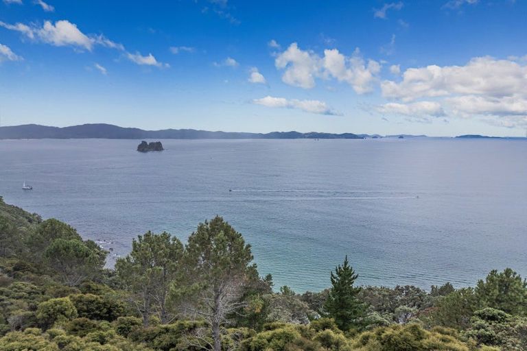 Photo of property in 396 Lees Road, Hahei, Whitianga, 3591
