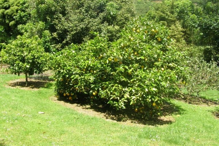 Photo of property in 171 Wairau Road, Kaitake, New Plymouth, 4374