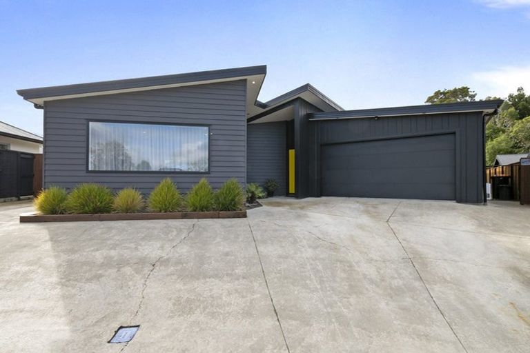 Photo of property in 4 Waimarama Court, Roslyn, Palmerston North, 4414