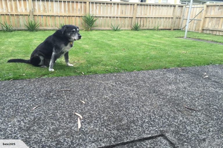 Photo of property in 13 Elm Street, Waiuku, 2123