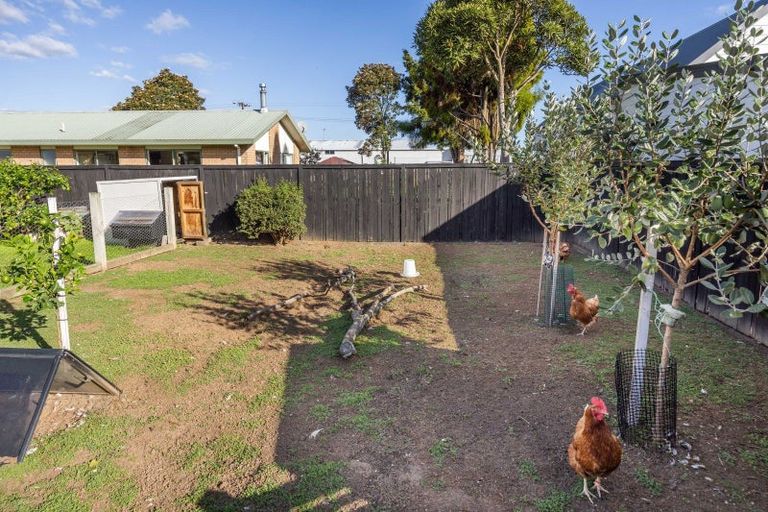 Photo of property in 52 Mcclure Street, Pirongia, 3802