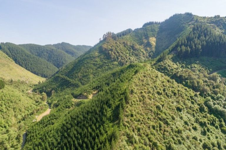 Photo of property in 641 Aniseed Valley Road, Aniseed Valley, Richmond, 7081