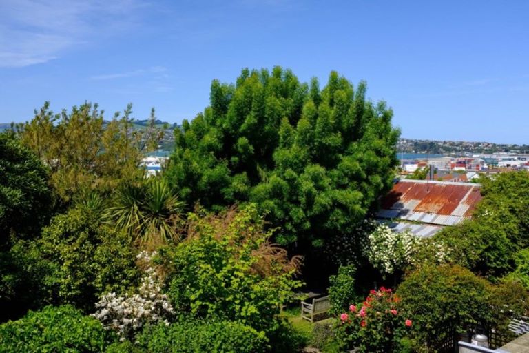 Photo of property in 48 Melville Street, Dunedin Central, Dunedin, 9016