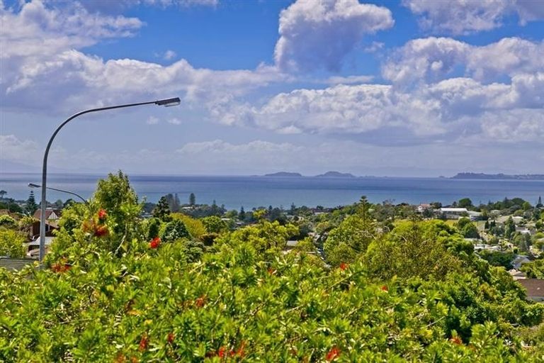 Photo of property in 1/2 Morice Place, Torbay, Auckland, 0630