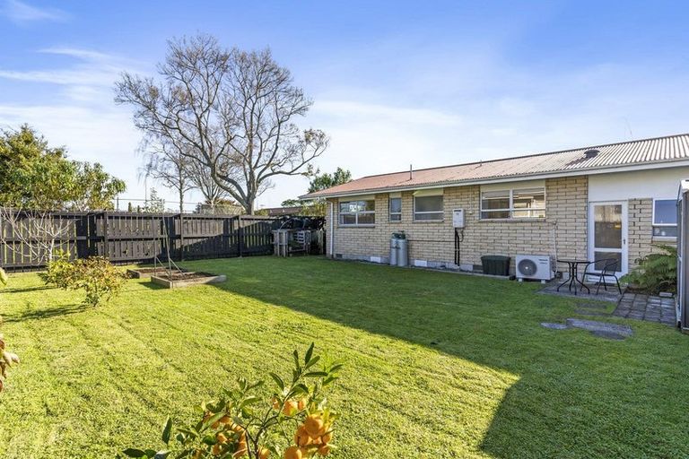 Photo of property in 46b Pooles Road, Greerton, Tauranga, 3112