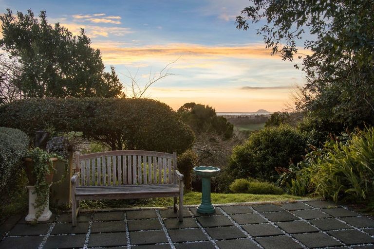 Photo of property in 173 Thompsons Track, Aongatete, Katikati, 3178