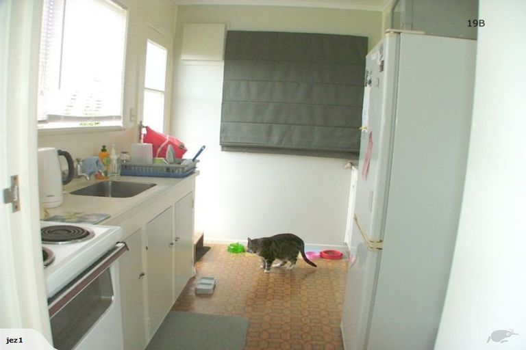 Photo of property in 19a Nutsey Avenue, Northcote, Auckland, 0627