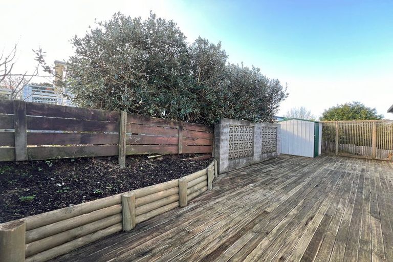 Photo of property in 29 Alison Street, Hamilton Lake, Hamilton, 3204