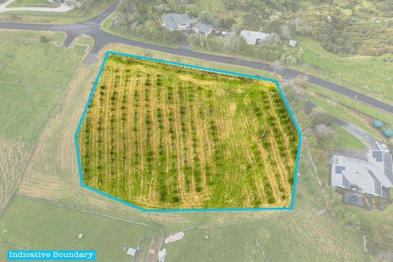 Photo of property in 2 Trig Road, Tuakau, 2694