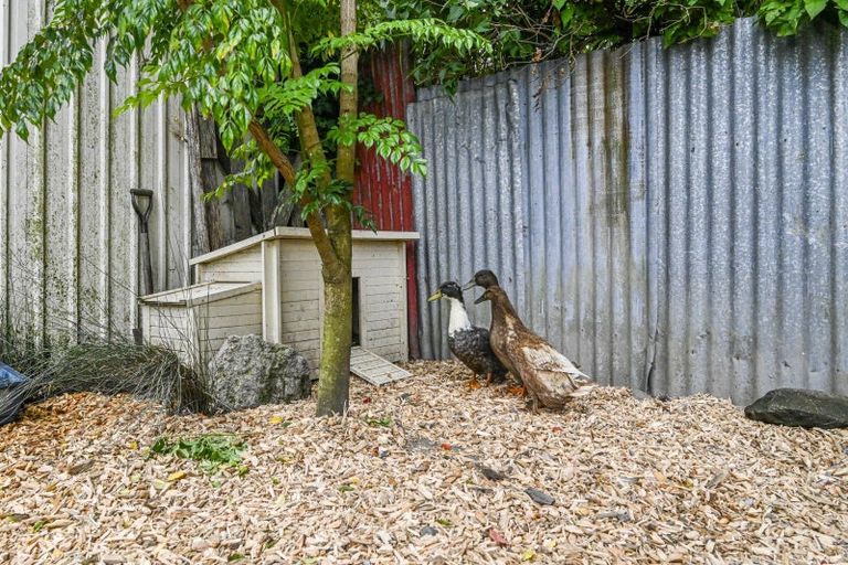 Photo of property in 900 Freyberg Street, Raureka, Hastings, 4120