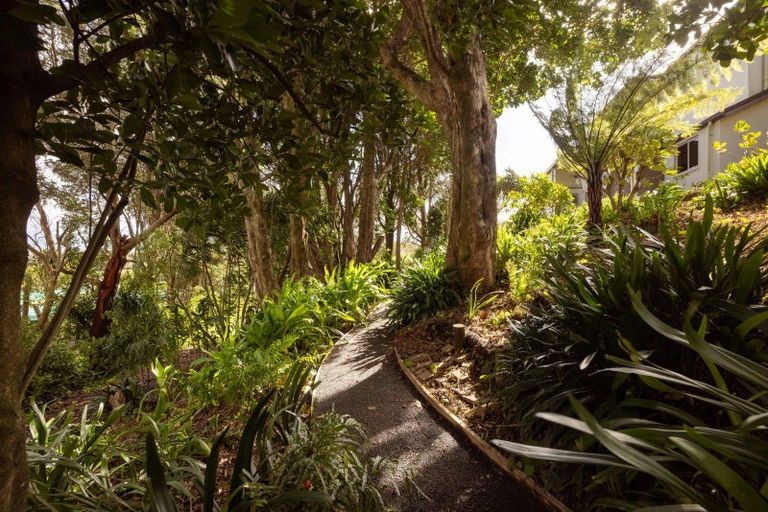 Photo of property in 289 Pahoia Road, Whakamarama, Tauranga, 3172