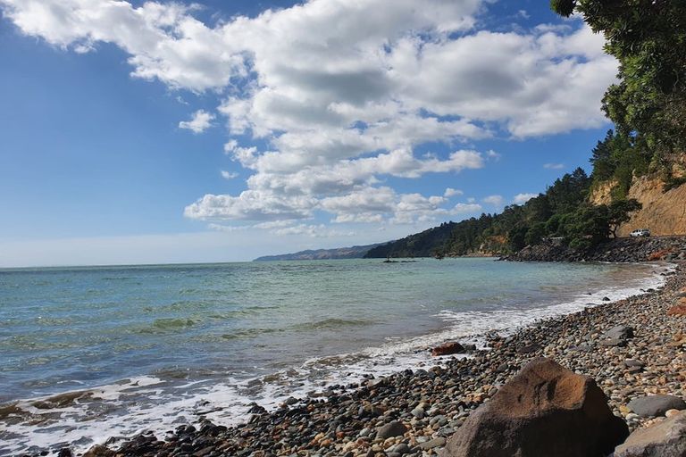 Photo of property in 2 Otuturu Creek Road, Ruamahunga, Thames, 3575