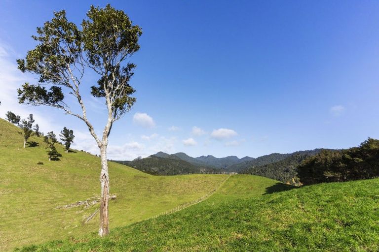 Photo of property in 309c Wentworth Valley Road, Whangamata, 3691