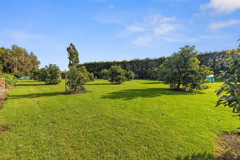 Photo of property in 728 No 1 Road, Te Puke, 3182