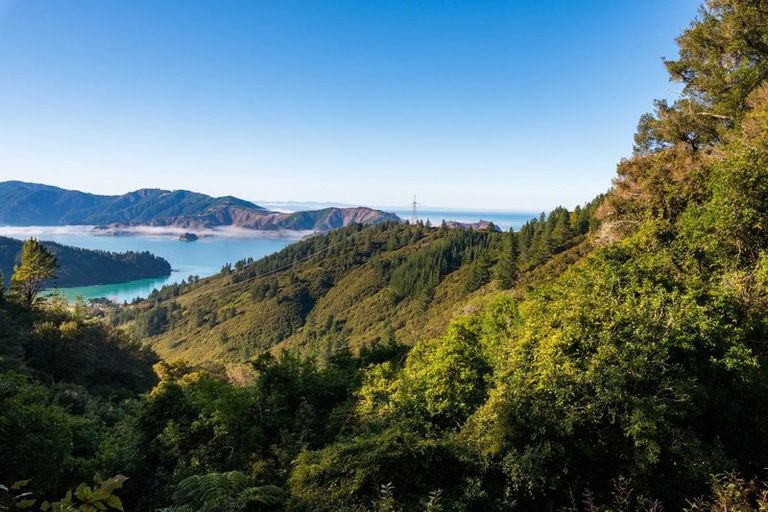 Photo of property in 2464 Port Underwood Road, Port Underwood, Picton, 7281