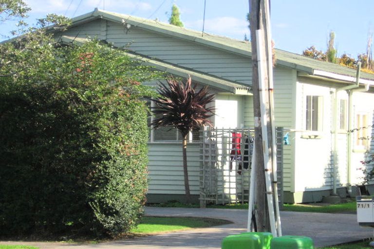 Photo of property in 71 Wintere Road, Papatoetoe, Auckland, 2025