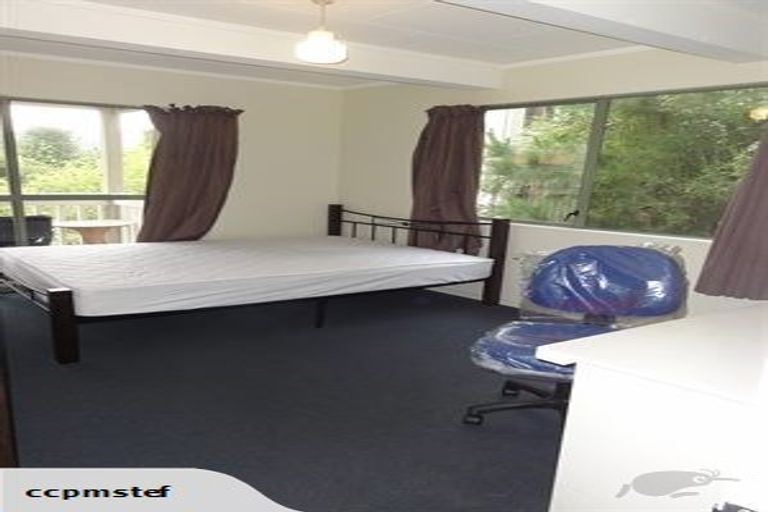 Photo of property in 63 Opoho Road, North East Valley, Dunedin, 9010