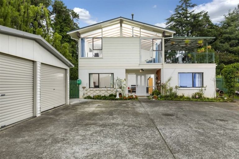 Photo of property in 39 Larissa Avenue, Henderson, Auckland, 0610