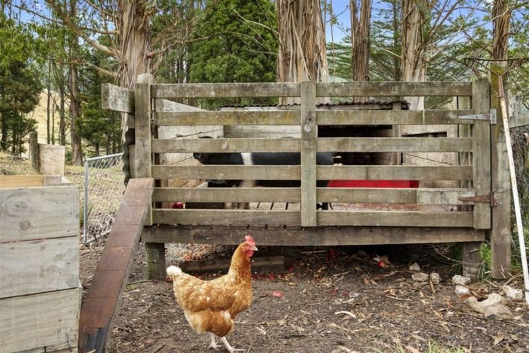 Photo of property in 572 Riwaka Valley Road, Riwaka, Motueka, 7198