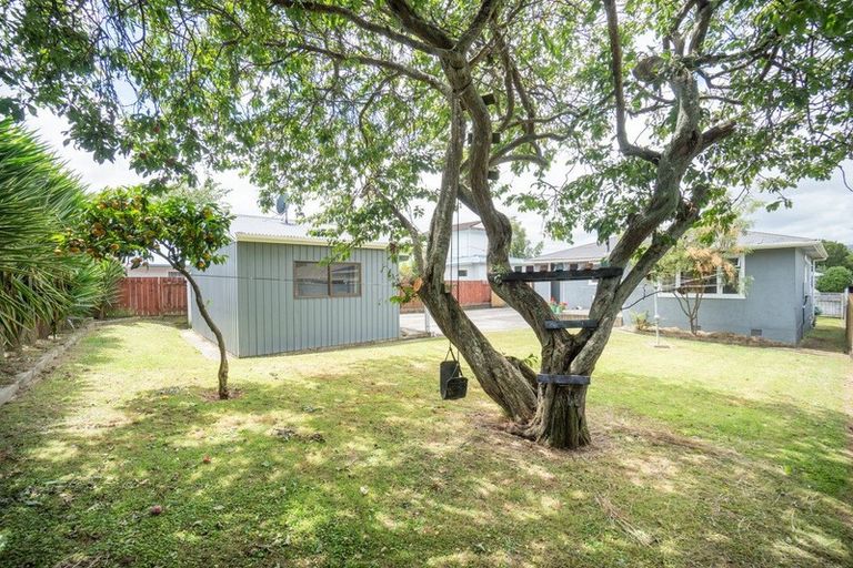 Photo of property in 29 Galway Avenue, Hokowhitu, Palmerston North, 4410