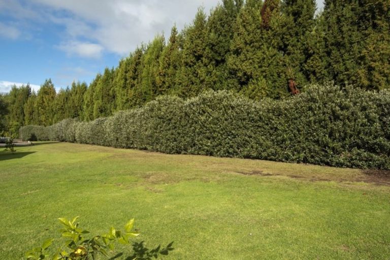 Photo of property in 21 Youngson Road, Whakamarama, Tauranga, 3180