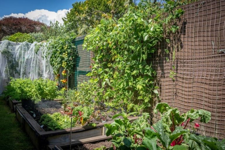 Photo of property in 20a Karu Crescent, Waikanae, 5036