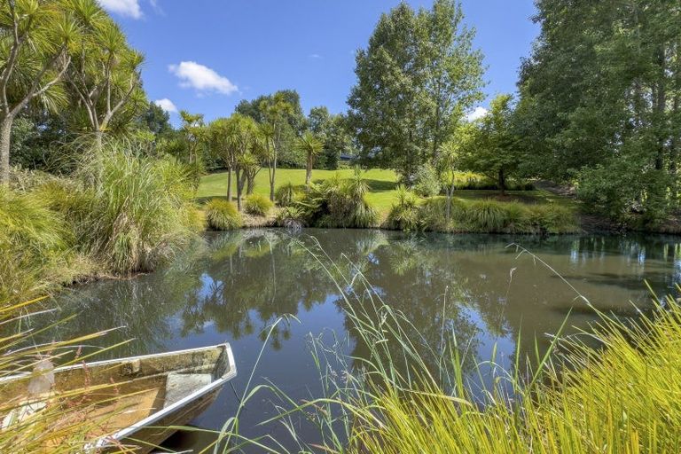 Photo of property in 39 Sunnyside Road, Coatesville, Albany, 0793