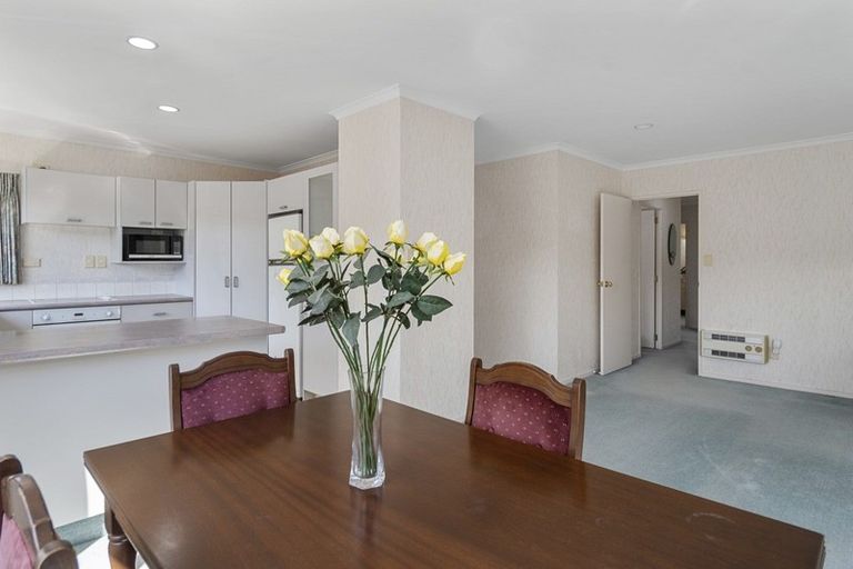 Photo of property in 8 Lynwood Place, Brookfield, Tauranga, 3110