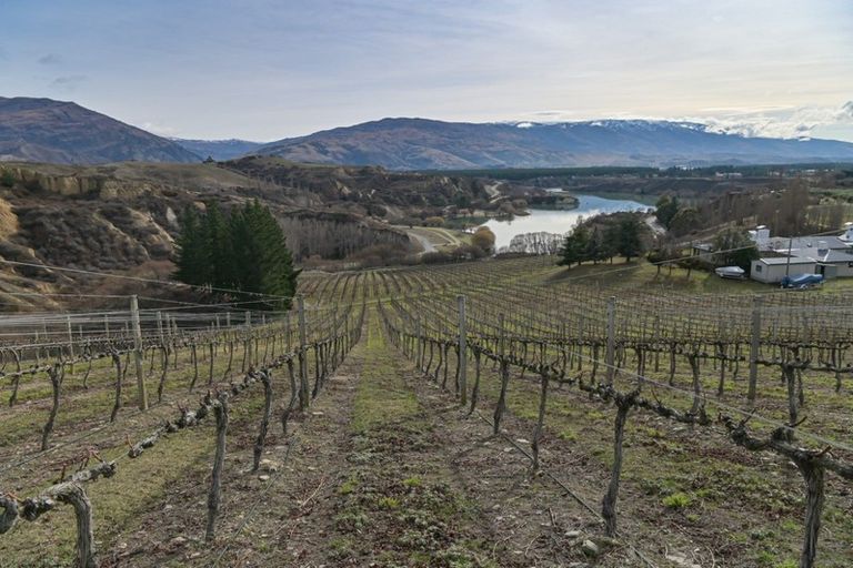 Photo of property in 1 Cairnmuir Crescent, Cromwell, 9310