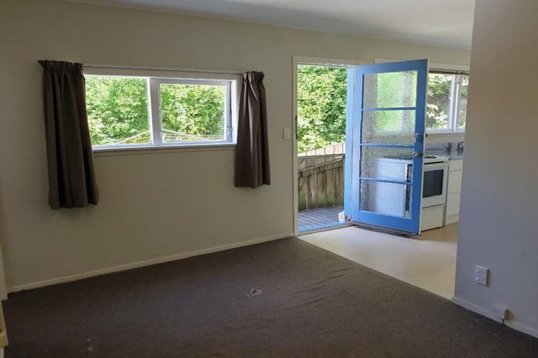 Photo of property in 45 Adams Terrace, Aro Valley, Wellington, 6021