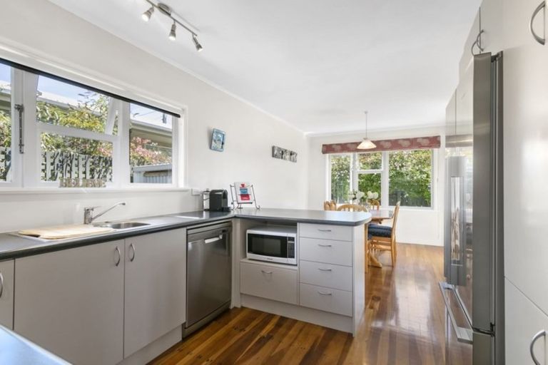 Photo of property in 41 Pukatea Street, Eastbourne, Lower Hutt, 5013