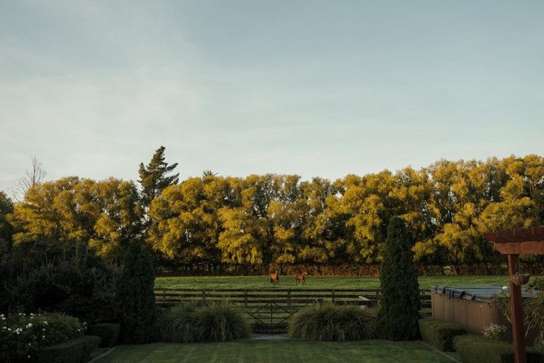 Photo of property in 78 Skewbridge Road, Flaxton, Kaiapoi, 7691