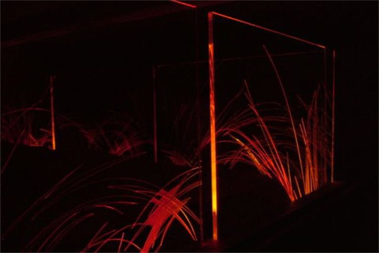 Photo of property in 31 Natusch Road, Belmont, Lower Hutt, 5010