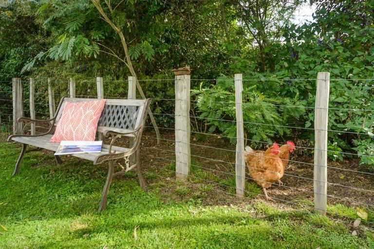 Photo of property in 41 Hammond Street, Bulls, 4818