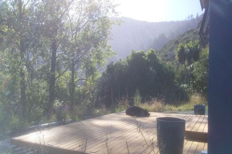 Photo of property in 588 Brook Street, The Brook, Nelson, 7010