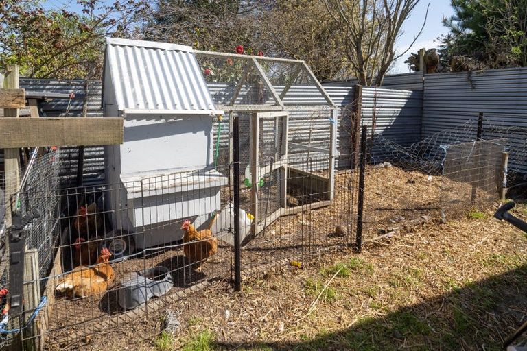 Photo of property in 82 Mcmurdo Street, Tinwald, Ashburton, 7700